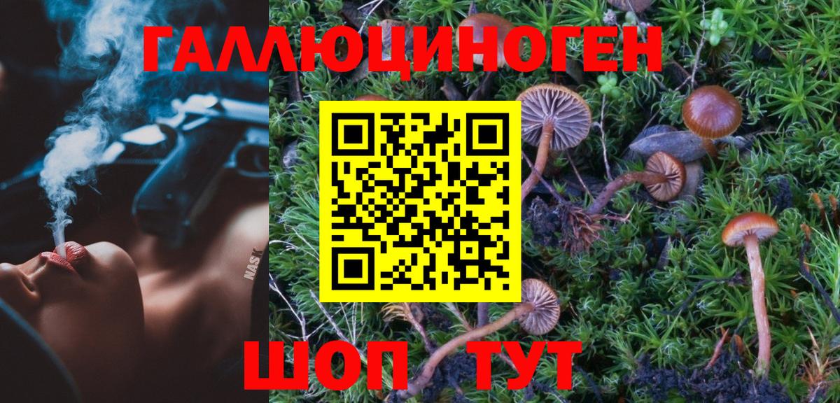 Галлюциногенные грибы Cubensis  Псилоцибиновые грибы прущие грибы  Энгельс  Вход с VPN 